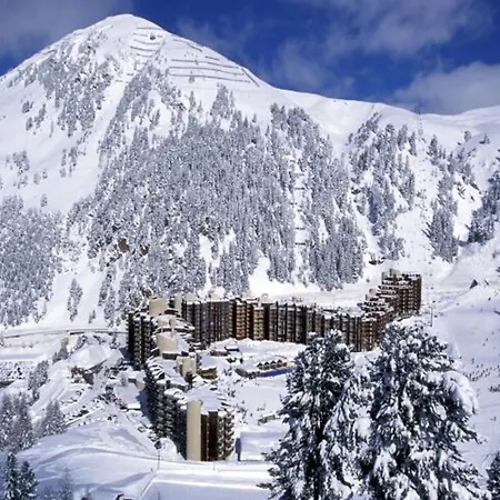 Divisible Renove, Proche Pistes Et Commerces, Animaux Acceptes - Fr-1-181-1009 * La Plagne